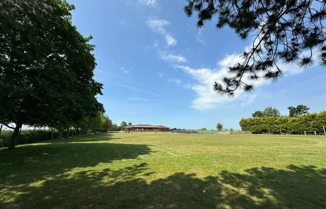 School Field_14_11zon